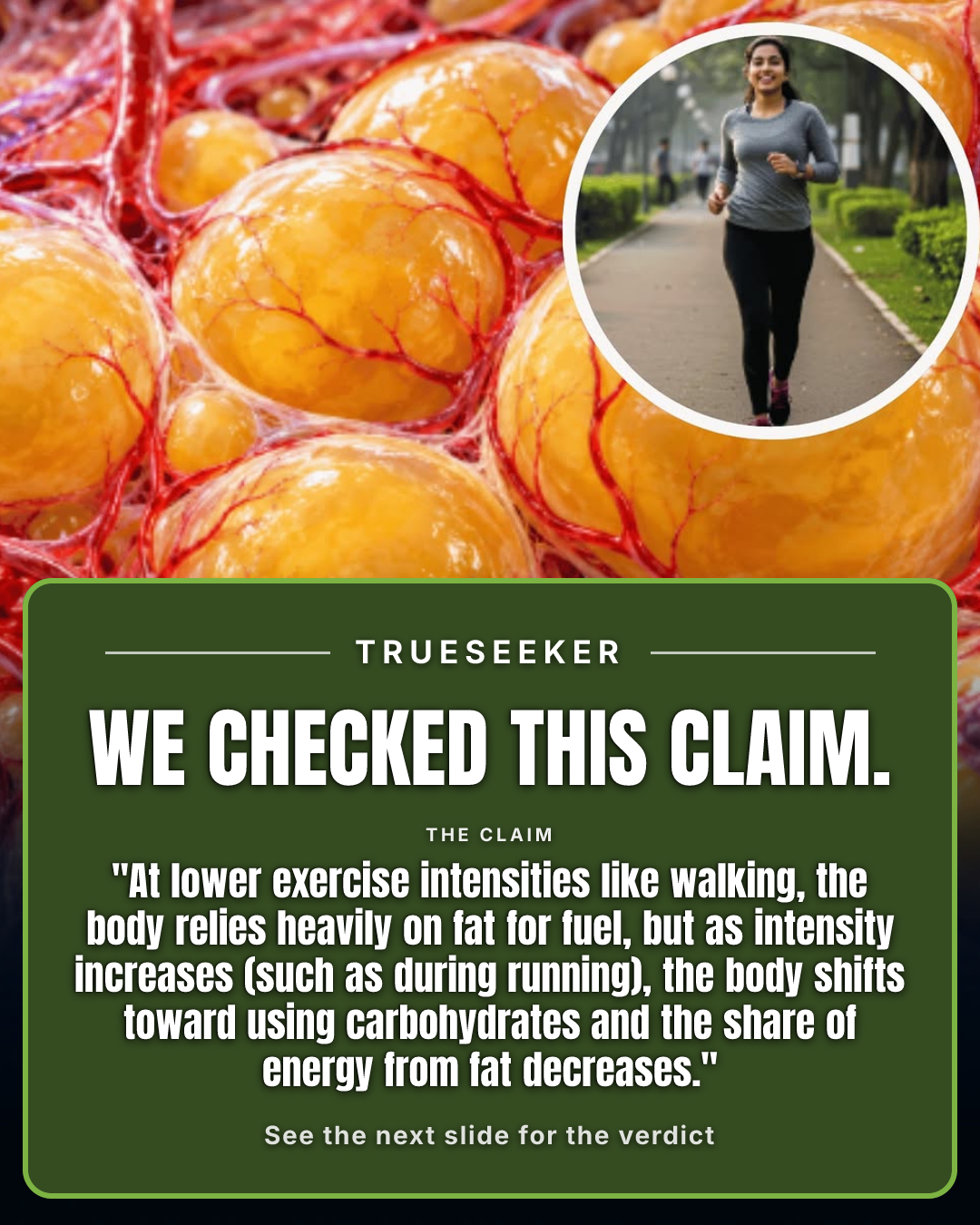 Fact-check card, verdict Mostly accurate