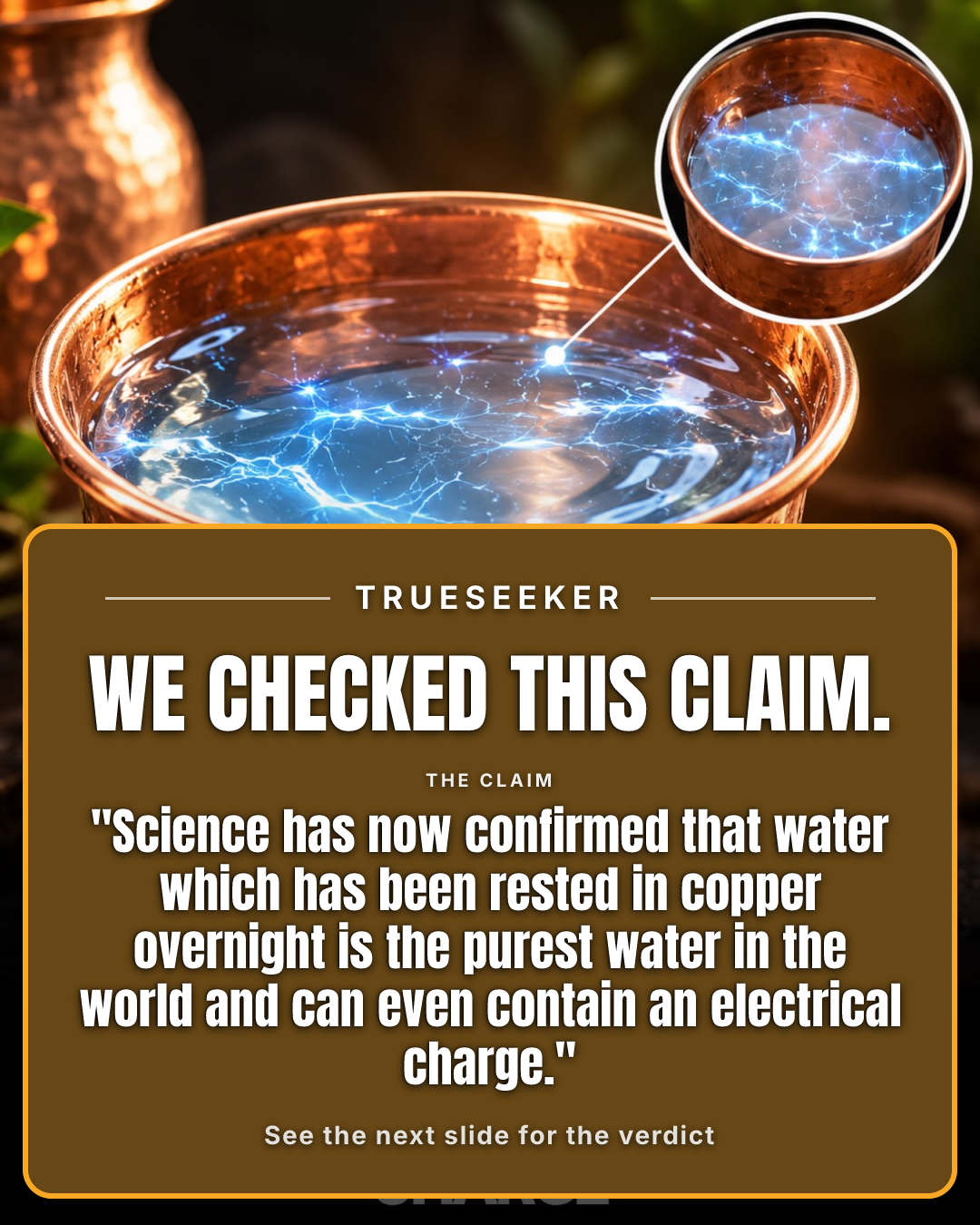 Fact-check card, verdict Partially accurate but misleading